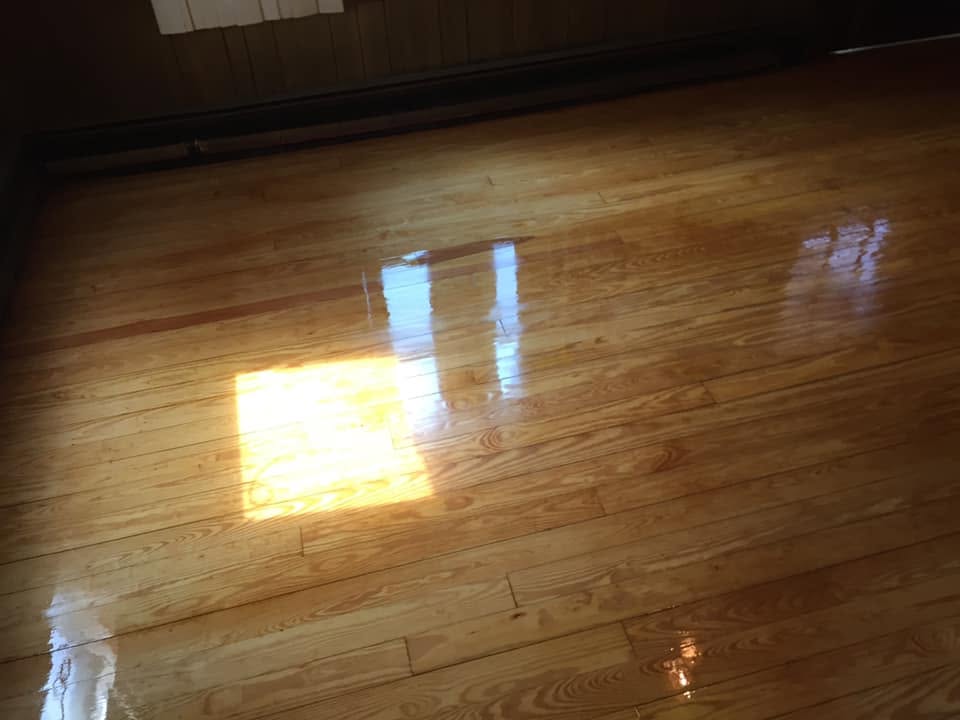 Freshly refinished pine floor with a glossy amber finish and afternoon sun crossing the boards