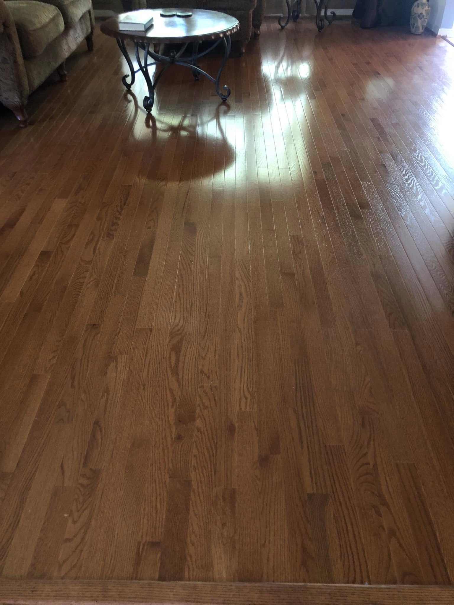 Glossy hardwood floor in a living room reflecting daylight from the windows